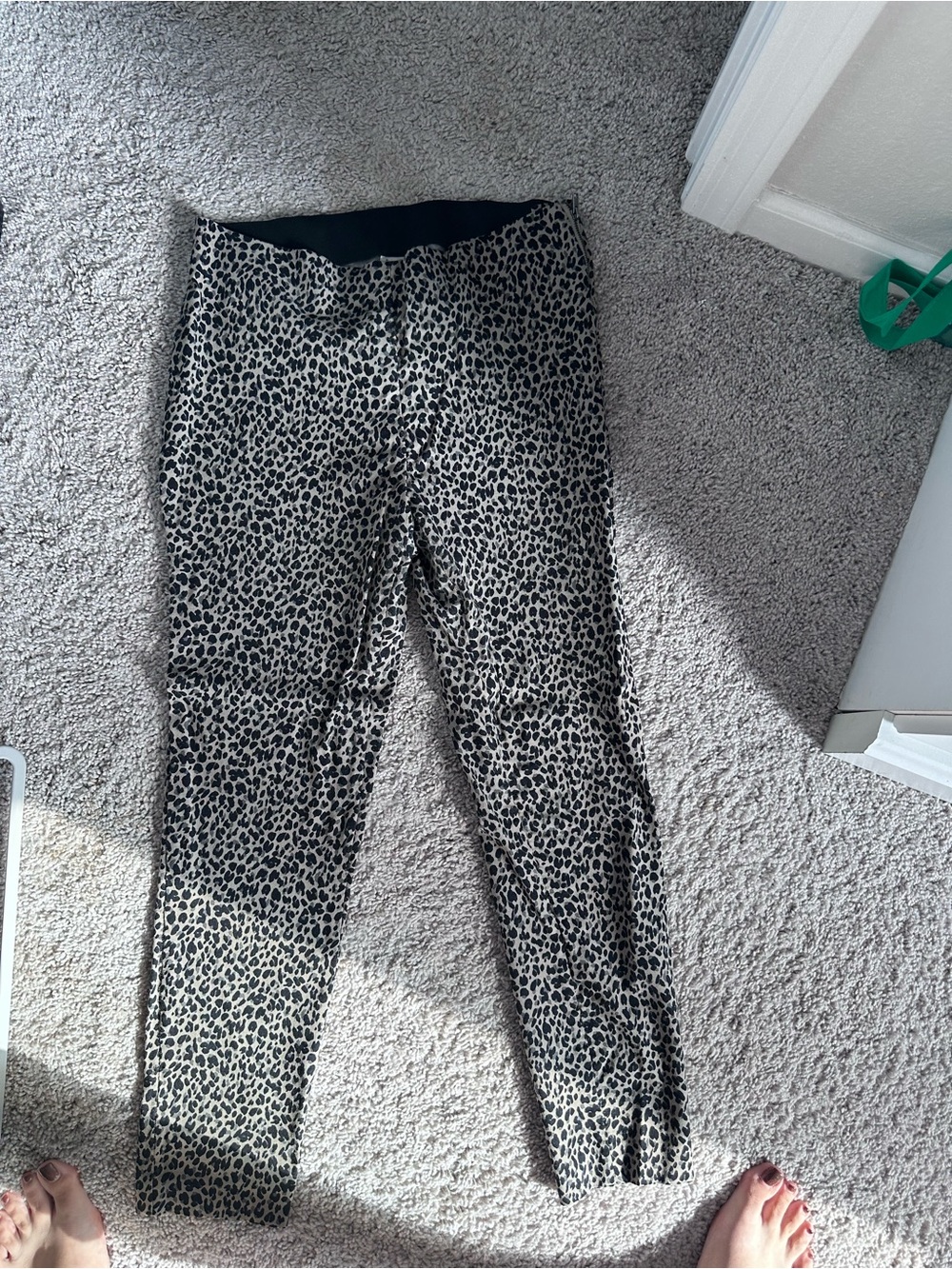 Women’s Leopard Print Pants - Black & Cream